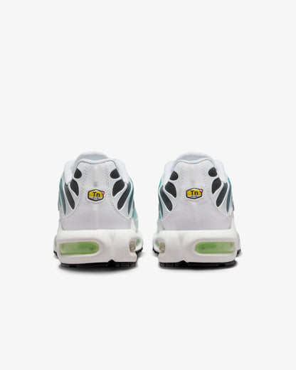 MAX-PLUS 270 | Dusty Cactus